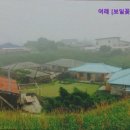 b오M | 제주도 민박 숙소 추천 여래 [보일꽃, b오m] 여래, 제주도 전통 민박 추천