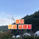 서울근교 경기도 용인 당일치기 캠핑장 추천 햇골 글램핑 바베큐 불멍 내돈내산