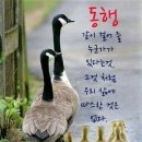 P-6113 이미지