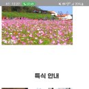 투어진 이미지