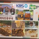 박터진흥부네 이미지