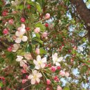 오일시장(축협하나로마트) 이미지