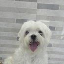 김포24시 힐 동물의료센터 이미지