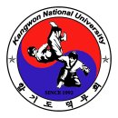 International Martial Arts Club - Dukmoohoi 이미지