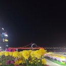 광안리국화축제2023,Nov03(금) 이미지