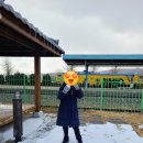 [충남홍성군광천여행] 토굴젓으로 유명한곳 광천토굴새우젓시장, 광천역 나들이