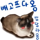 달뜨는마을 이미지