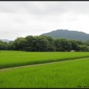 마장3리 이미지