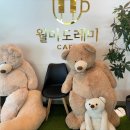 안면도 감성 카페 | 월미도레미 방문 후기