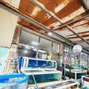 낮은굴뚝 애견펜션 이미지