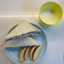 최애 버터 식빵 ㅣ 답십리 베이커리 화이트리에 식빵 구매 후기와 샌드위치 만들기