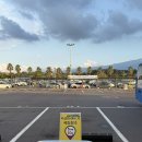 삼일렌트카 | 내돈내산 제주도 제주 공항근처 렌트카 특별한렌트카 후기