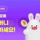 비투코드