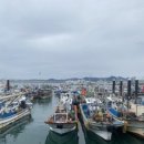 대천항세꼬시 이미지