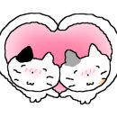 영주동부야식 이미지