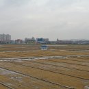 대규농장 이미지