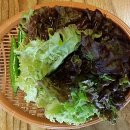 돈장군주먹고기 - 안양시 동안구 인덕원로24번길 14 | 돈장군주먹고기