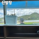 도촌막국수식당 이미지