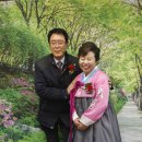 수리별 이미지