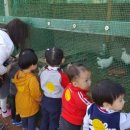 본원어린이집 이미지