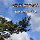 행정사 푸른사무소 이미지