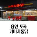 삼계리 맛집 가마치통닭