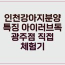 아이러브 독 이미지