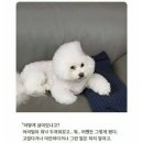 오타쿠