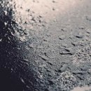 샐러드랩 이미지