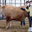 축협수퍼 이미지