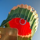 화이트벨리 이미지