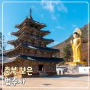내수 상16호(비5호) | 충북 보은 가볼만한곳 속리산 법주사 세조길 팔상전
