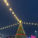 바다사랑추억 | <보령> 대천해수욕장 겨울 바다 사랑 축제 후기 (기상 악화로 드론쇼 취소 엔딩)