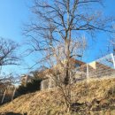 테라경매공인중개사사무소 이미지