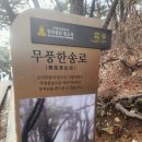 평산마을길 | 양산 통도사 홍매화 봄꽃 구경, 양산 금호정 칼국수 맛집, 양산 평산 마을 후기