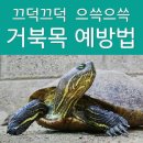 끄떡끄떡