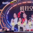 팀 에이스 이미지