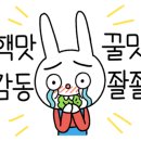 대동집 대전괴정점