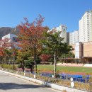 정관초등학교병설유치원 이미지