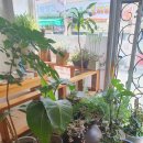 다래칼국시 이미지