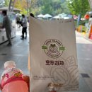 팀매드 대구 최두호짐 | 전주-대전 여행 (2024 스낵타운 만담 전국투어 LEGEND 후기)