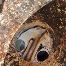 용동식당 이미지