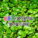 (주)닥터봄 이미지