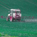 경산농약사 이미지