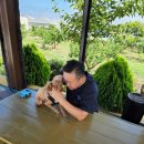 제주오름동물병원 이미지