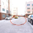 술이홀로(1) 이미지