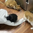 쏘시지요 부산반여점 | 원기복 순한맛 [ 28 ]