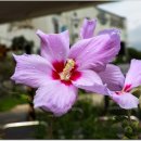 왕숙천변 이미지