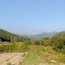 청계리농장 이미지