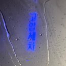 세차의고수 첨단점 이미지